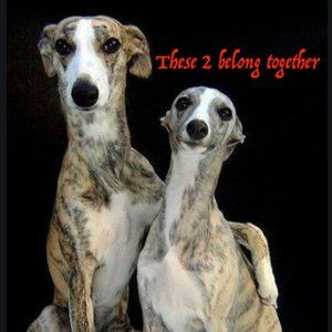 "Dude, this is my main man, Luigi!"